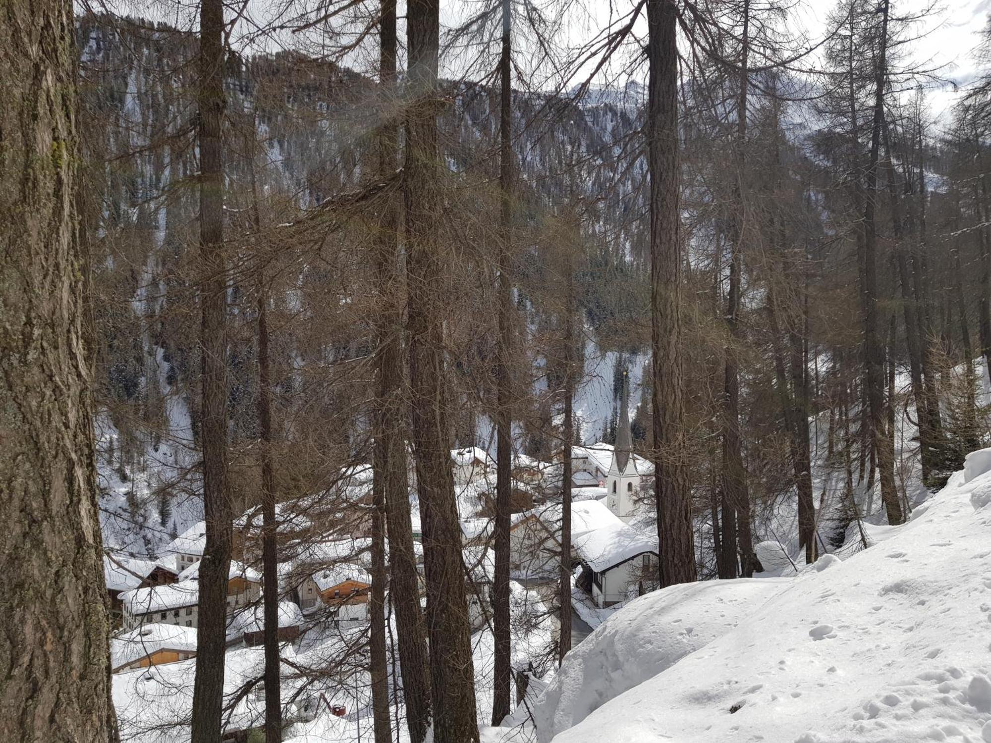 זאמנאון Apart Foresta מראה חיצוני תמונה