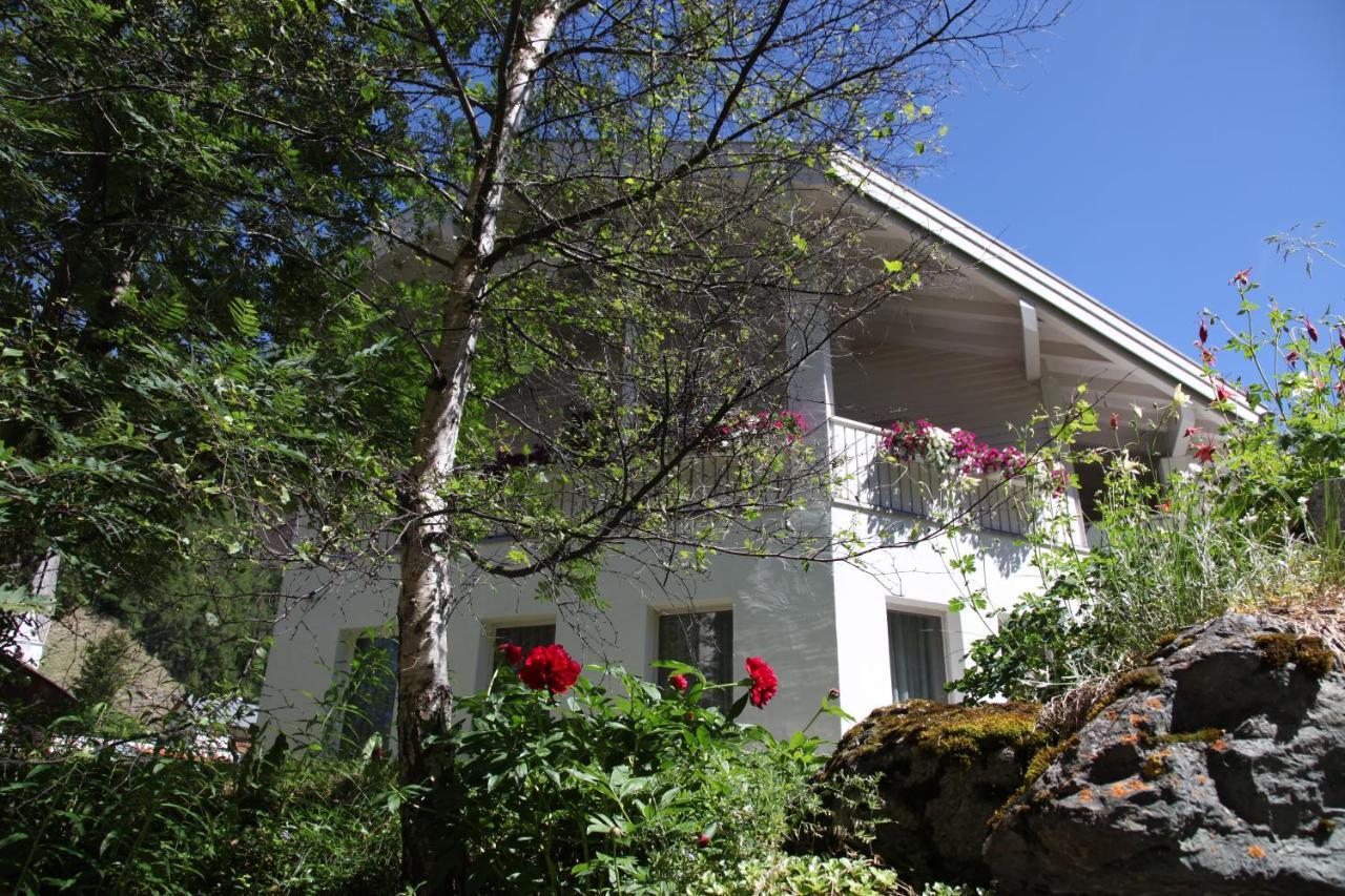 זאמנאון Apart Foresta מראה חיצוני תמונה